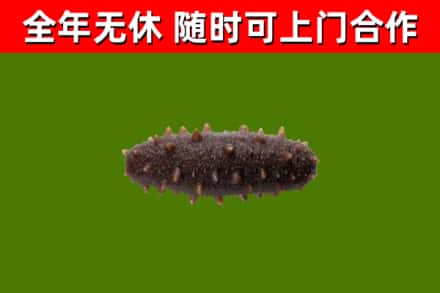 张湾区烟酒回收干海参.jpg